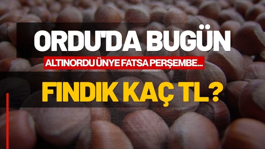Ordu’da Fındık Kaç TL? İşte 2 Eylül Serbest Piyasa Güncel Fındık Fiyatları!
