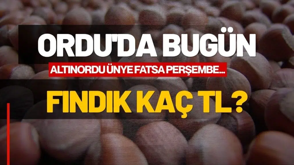 Ordu’da Fındık Kaç TL? İşte 2 Eylül Serbest Piyasa Güncel Fındık Fiyatları!