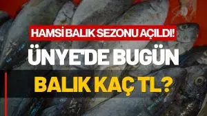 Tezgahlar Şenlendi: İşte Ünye’de Güncel Balık Fiyatları!