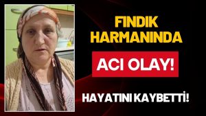 Acı Olay: Fındık Harmânında Düşen Kadın Hayatını Kaybetti