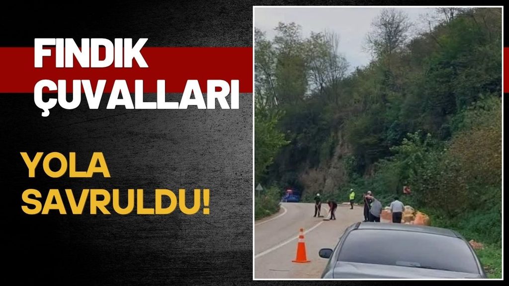 Kumru-Fatsa Yolunda Fındık Çuvalları Yola Savruldu