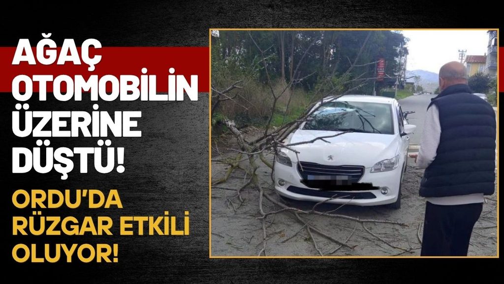 Ordu’da Şiddetli Rüzgarın Faturası: Devrilen Ağaç Otomobile Zarar Verdi