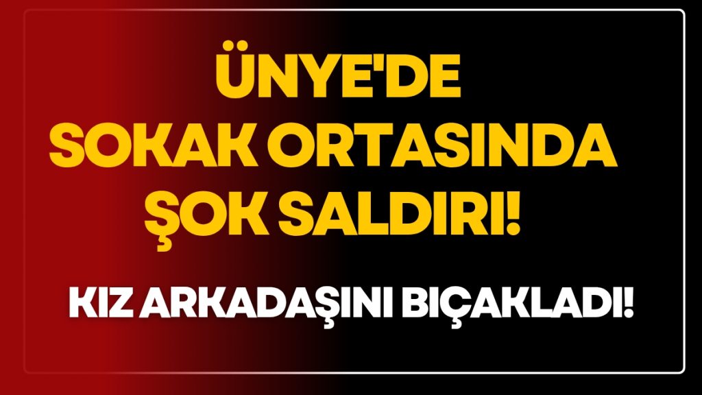 Ünye’de Sokak Ortasında Bıçaklı Saldırı: Kız Arkadaşını Yaralayıp Kaçtı